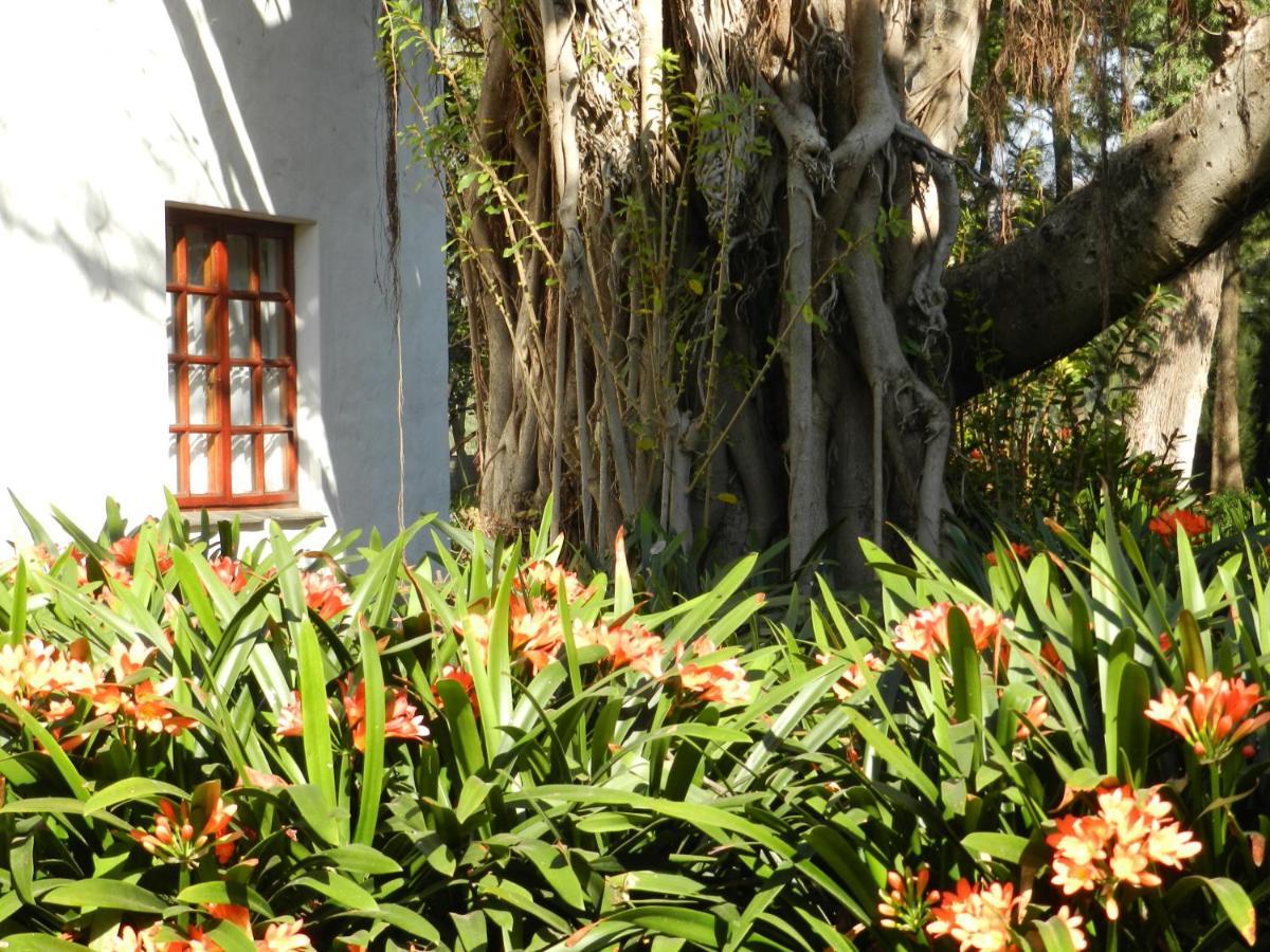 President Paul Kruger Guest Lodge Rustenburg Exterior foto